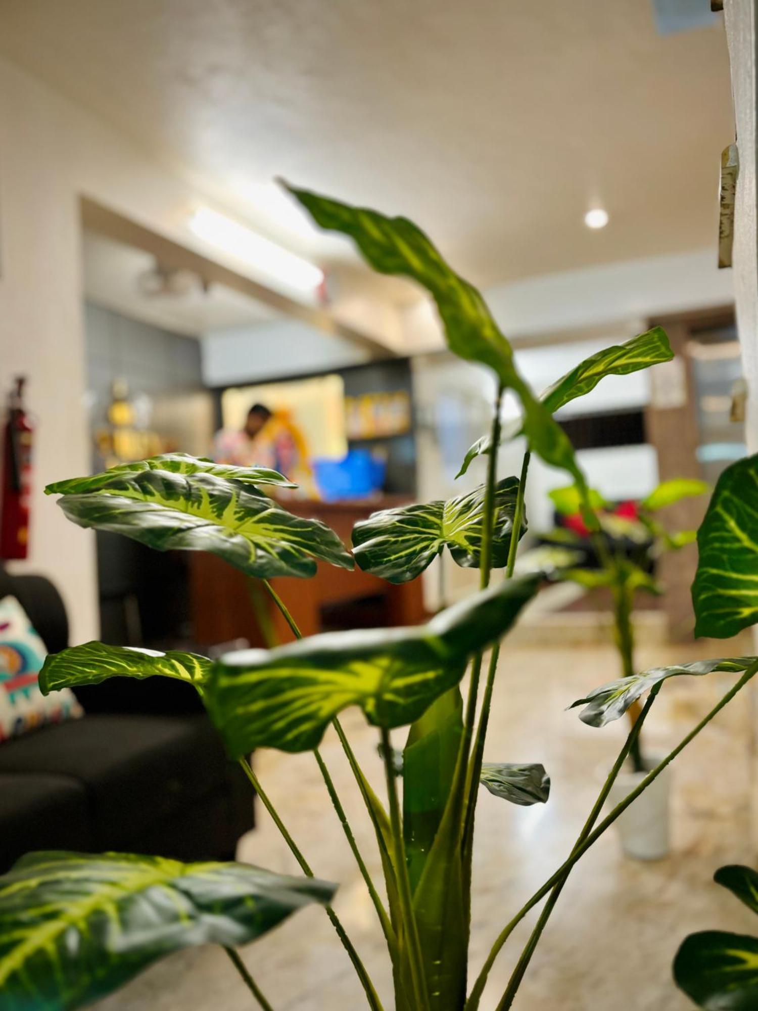 Sai Shreyas Residency, Best Hotel Near Bangalore Airport Dod Jala المظهر الخارجي الصورة